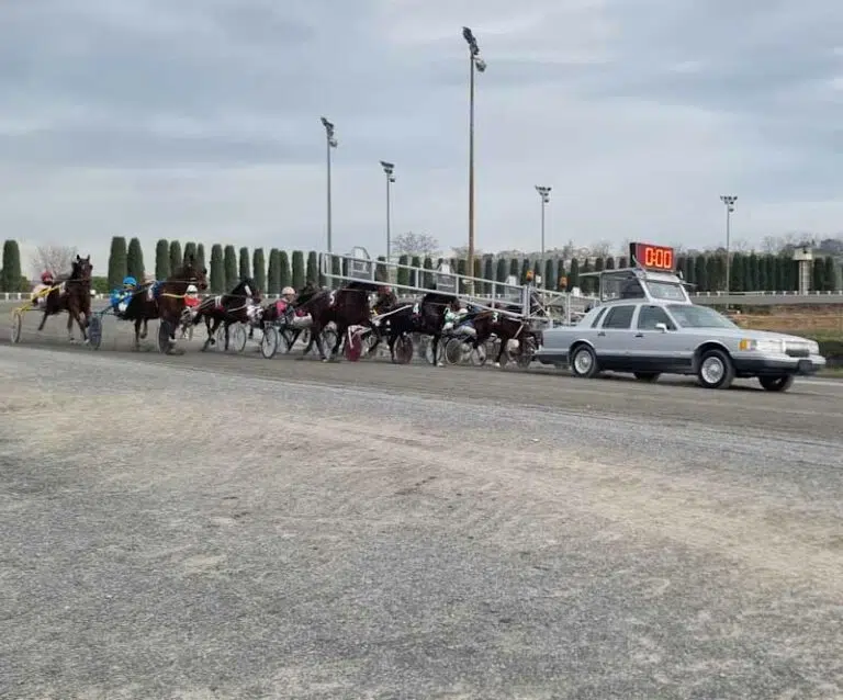 Ippodromo San Paolo e Modula: trotto e cucina d’autore in una serata all’insegna della passione