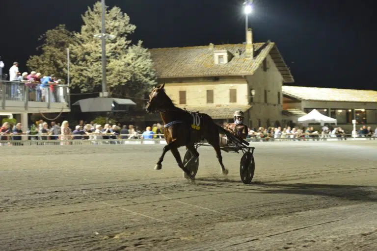 44° Campionato Italiano Guidatori Trotto: ecco il programma completo di domenica 18 agosto