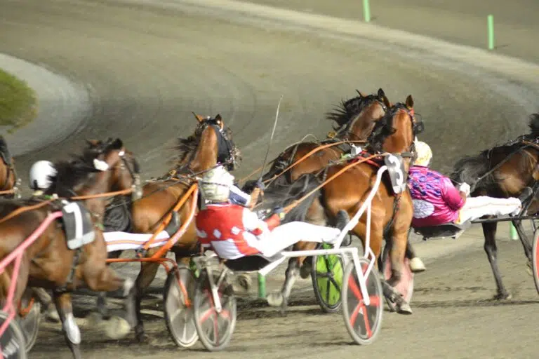 AIl’Ippodromo San Paolo tutto pronto per il 44º Campionato italiano guidatori trotto Trofeo Brosway 2024