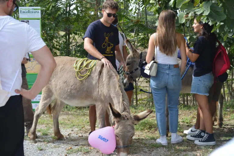 In fase di chiusura il progetto “Ergoterapia”, curare l’ambiente per curare meglio le persone